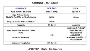 PROGRAMAÇÃO ESPORTIVA APCEF/SP 2013