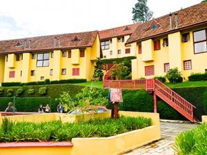 20150215_105004-campos_site