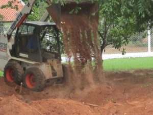 subsede-de-bauru_arvore_site