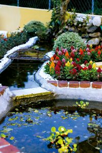 ceia-natal-apcefsp-_221__site