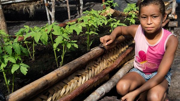 Movimento Solidário: hortas são inauguradas em Belágua