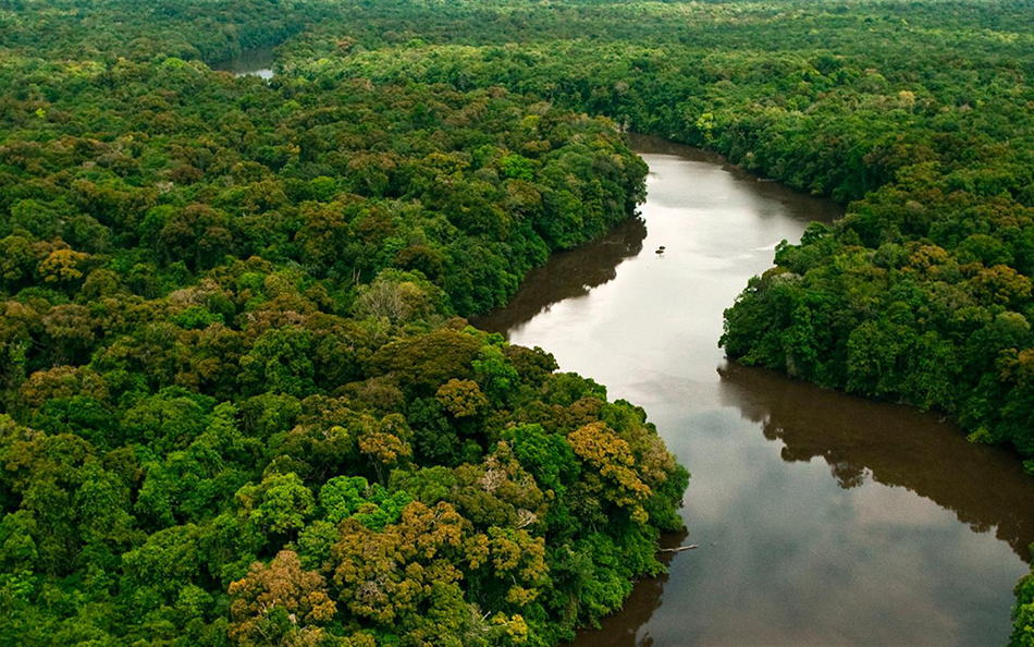 Dia da Amazônia reacende debate sobre extinção da Renca. Mas, você sabe o que está em risco?