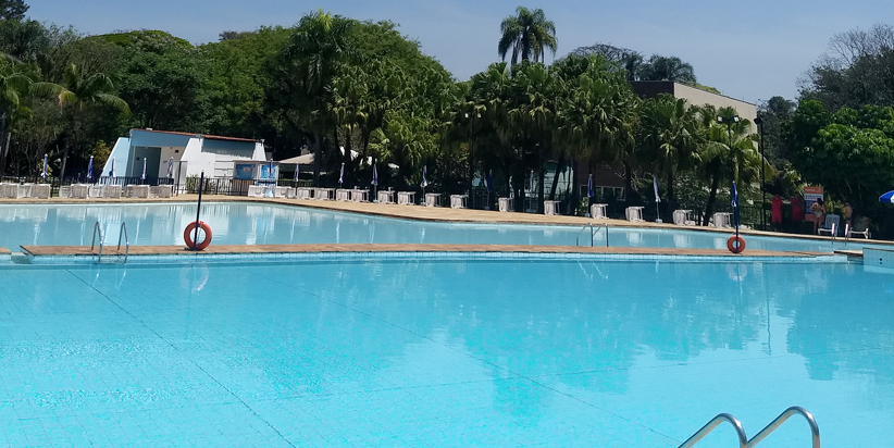 APCEF/SP  Festival de Verão traz competição de natação ao clube da capital  - APCEF/SP