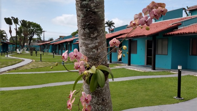 Associado é frequentador assíduo da Colônia de Ubatuba