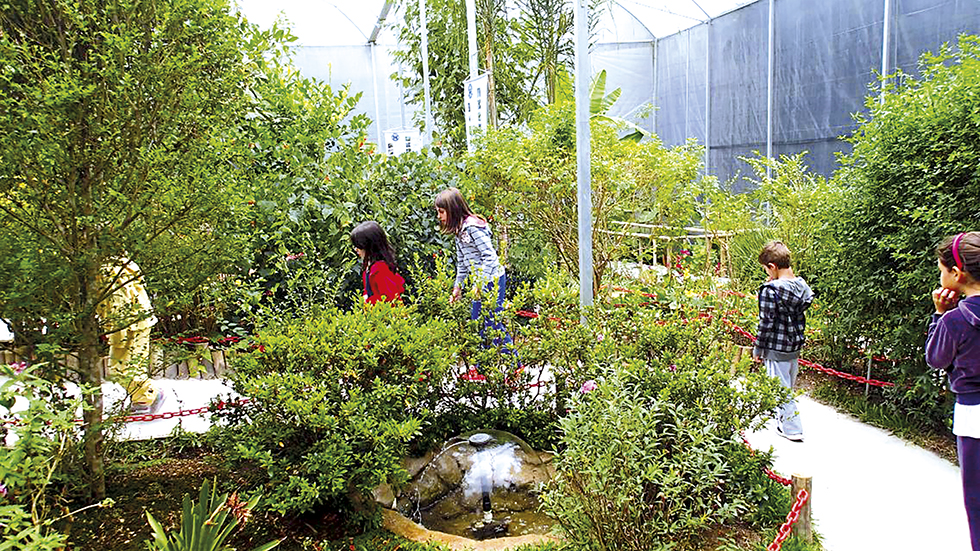 #APCEFIndica Borboletário Flores que Voam, em Campos