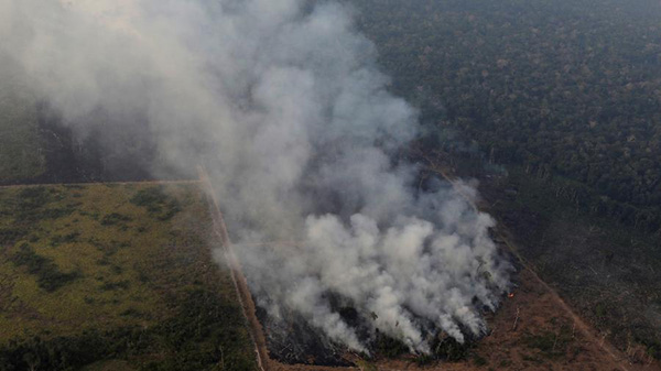 Amazônia em risco: a destruição de nossa floresta precisa parar