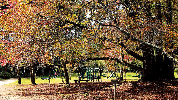 #APCEFIndica: Parque Estadual de Campos do Jordão