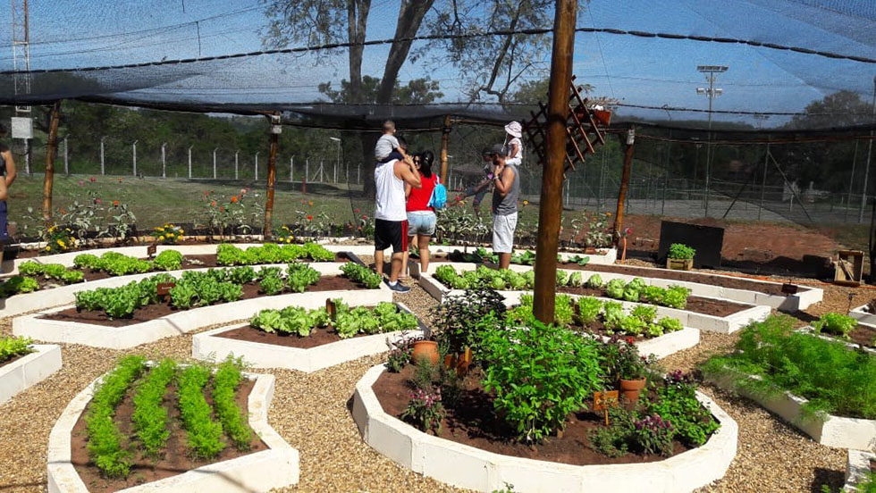 APCEF sustentável: projetos para 2020, preservação para o futuro