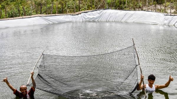 Movimento Solidário inaugura poço artesiano e tanque de peixes em Belágua neste sábado