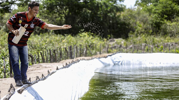 Tem pontos a expirar no Mundo Caixa? Doe para o Movimento Solidário e transforme vidas!