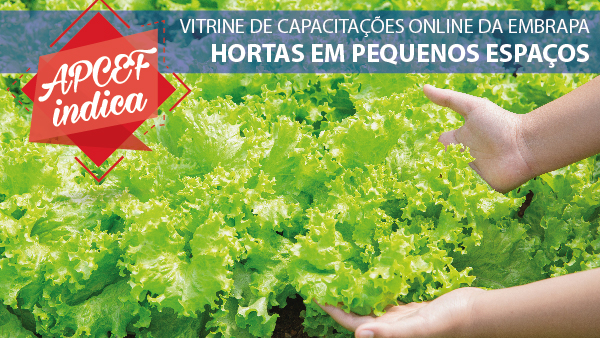 #APCEF Indica: curso Hortas em Pequenos Espaços