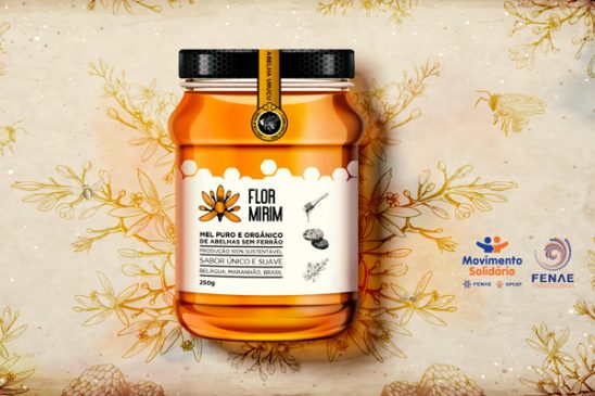 Programa Movimento Solidário lança a marca Flor Mirim e valoriza o mel de Belágua (MA)