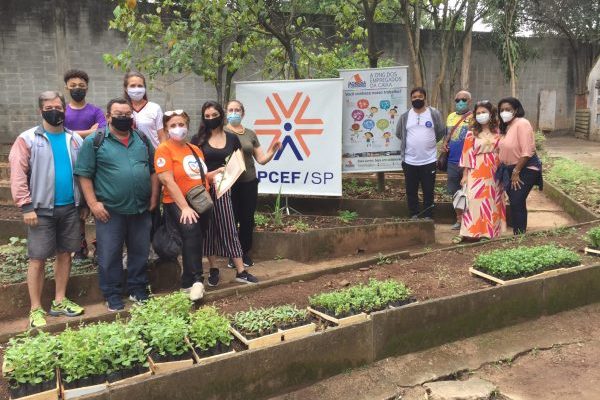 Inaugurada horta comunitária no clube da Apcef/SP