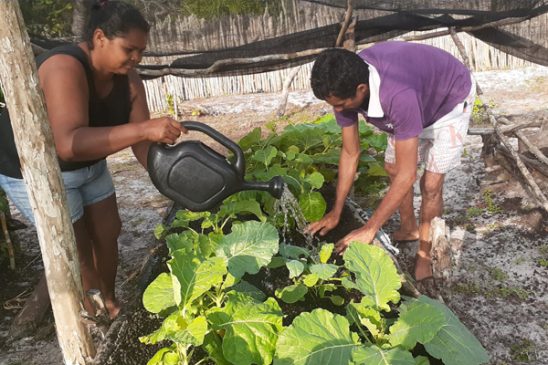 Movimento Solidário renova parceria com Maranhão para até 2022