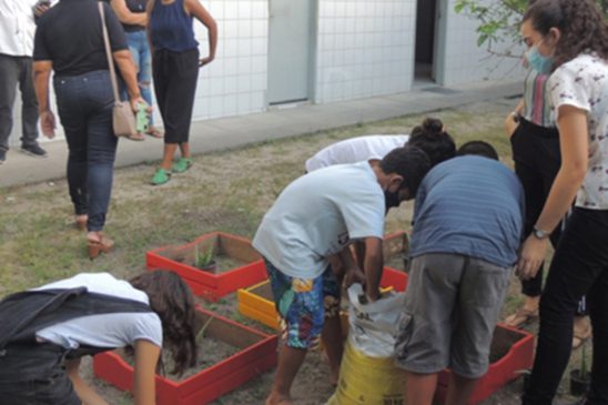 Horta comunitária orgânica apoiada pela Fenae e Apcef/PE desperta interesse e criatividade