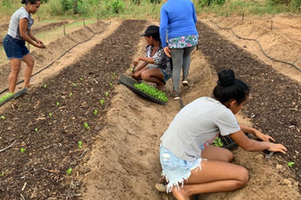 Projeto Sustentabilidade e aprendizagem rural transforma vidas em São Luís (MA)