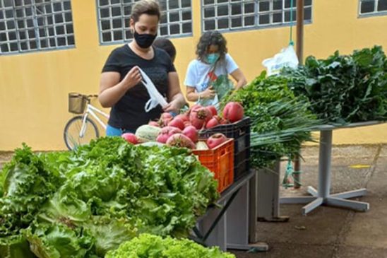 Nova colheita do horta escola beneficia famílias de baixa renda em Goiânia