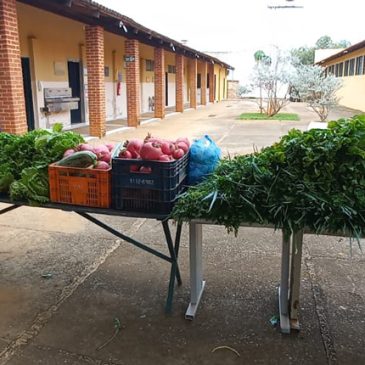 Projetos de desenvolvimento sustentável começam a colher resultados positivos