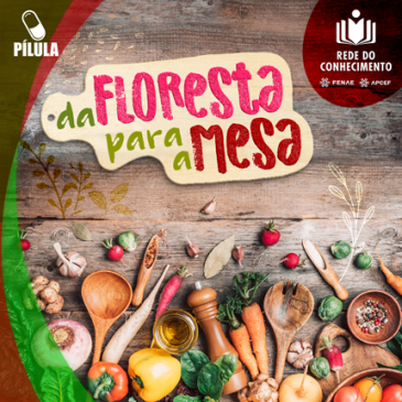 Receitas saudáveis da floresta para a mesa? Na Rede do Conhecimento tem!