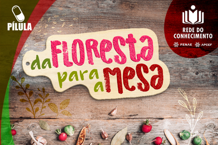 Receitas saudáveis da floresta para a mesa? Na Rede do Conhecimento tem!