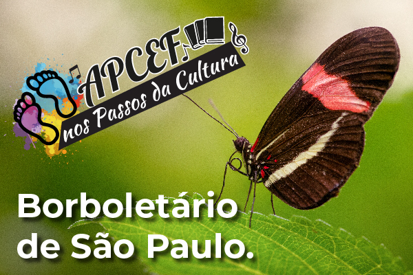 Conheça o Borboletário de São Paulo com a Apcef/SP