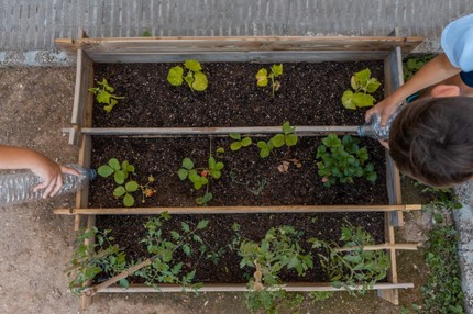 Horta escola em Goiás mostra força da ação coletiva