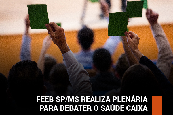 Feeb SP/MS realiza plenária para debater o Saúde Caixa