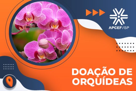 Clube da Apcef/SP recebe doações de orquídeas