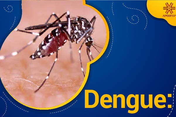 Dengue: o que precisamos saber sobre essa doença