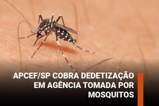 Apcef/SP cobra dedetização em agência tomada por mosquitos