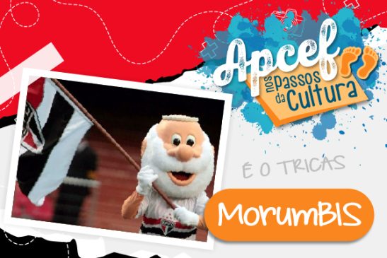 Apcef/SP retoma tour exclusivo pelo MorumBIS no dia 23 de agosto