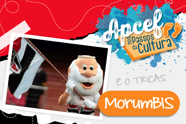 Apcef/SP retoma tour exclusivo pelo MorumBIS no dia 23 de agosto