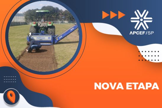 Revitalização do campo do clube da capital entra em nova etapa com replantio da grama