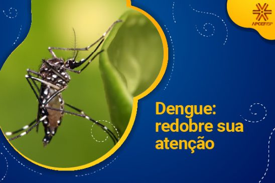 Dengue: redobre sua atenção!
