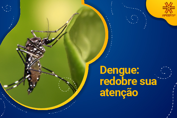 Dengue: redobre sua atenção!