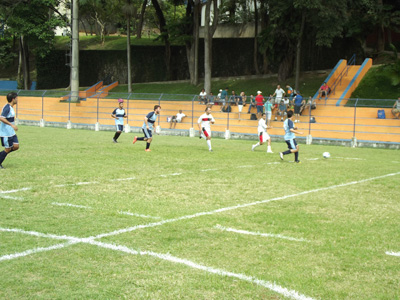 liga interna